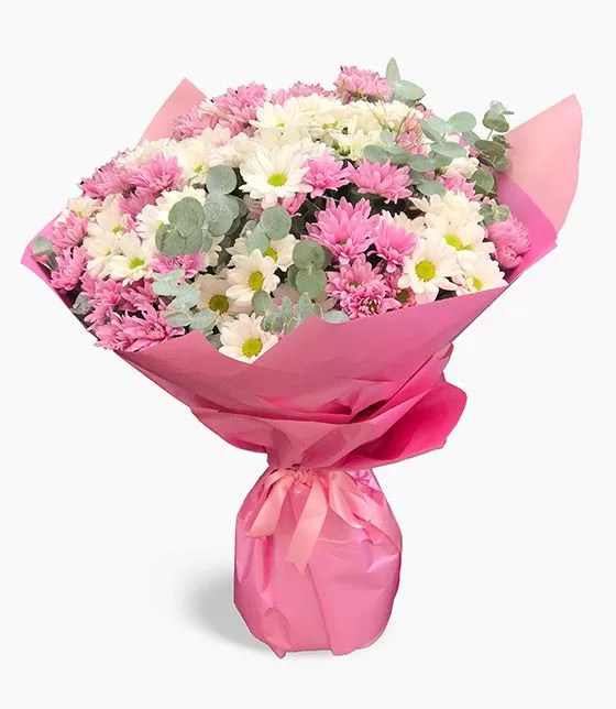 Bloom Pink Daisy
